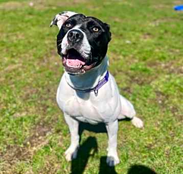Photo of Fletcher~24/25-0233
