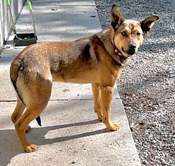 Photo of Taz