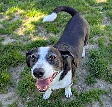 Photo of Willow