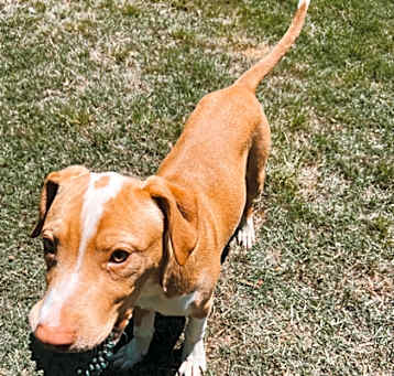 Photo of KOBE
