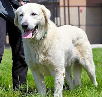 Photo of AERO
