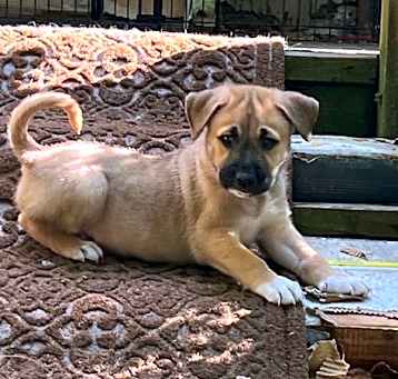 Photo of Cadbury