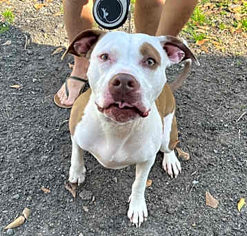 Photo of Coop