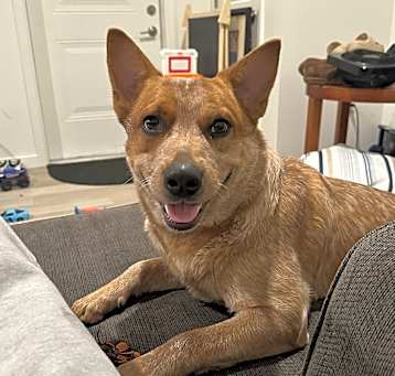 Photo of Blue