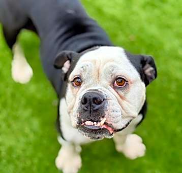 Photo of Vera