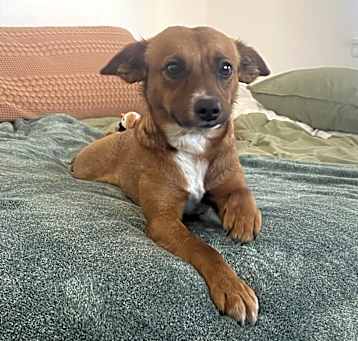 Photo of Zora