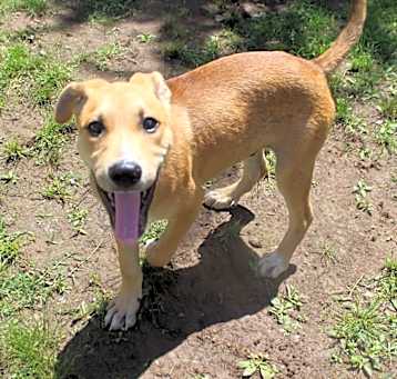 Photo of Twix