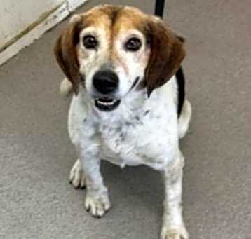 Photo of Tucker