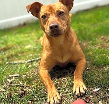 Photo of Misty
