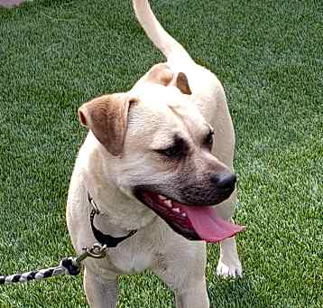 Photo of Astro