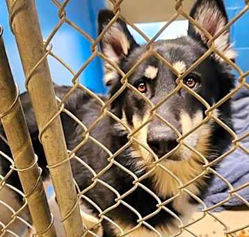 Photo of Tundra