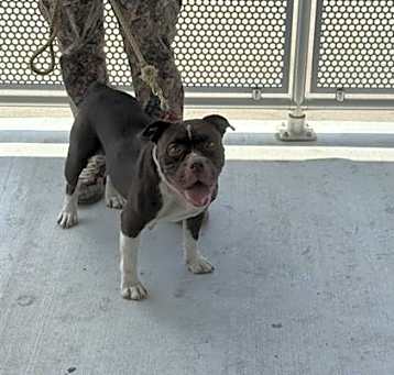 Photo of SALLY