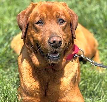 Photo of Charlotte
