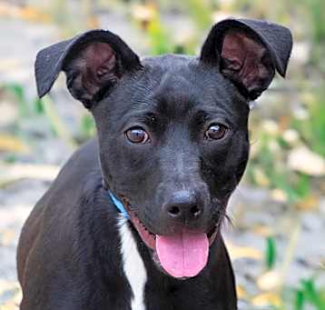 Photo of Spunky