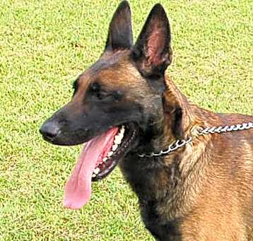 Photo of Klaus