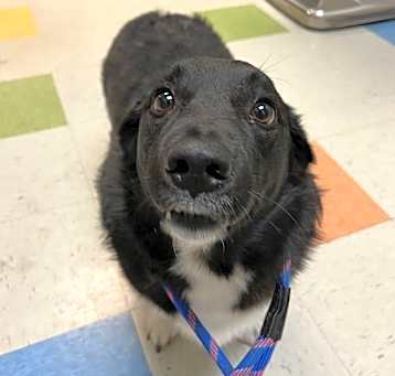Photo of Oliver