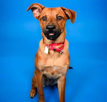 Photo of Riley