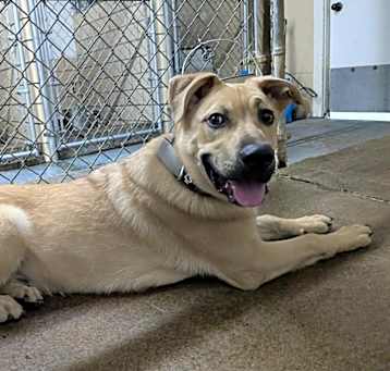 Photo of Milo