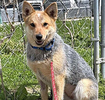 Photo of Maggie