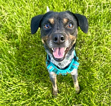 Photo of Rudy