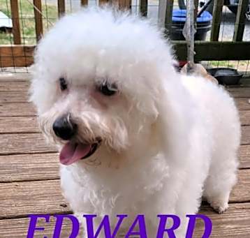 Photo of Edward/Del