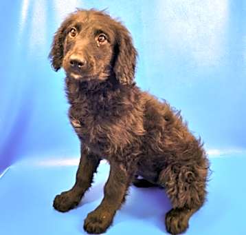 Photo of Holly