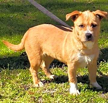 Photo of 250409 Gabby