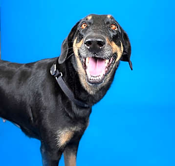 Photo of Queeny 