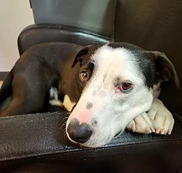 Photo of Cash