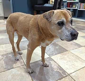 Photo of Bonnie