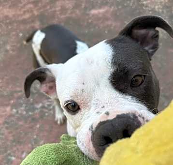 Photo of Massimo