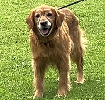 Photo of GERTIE