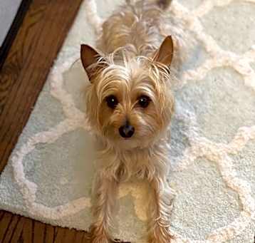 Photo of Gia