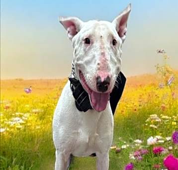 Photo of RASCAL