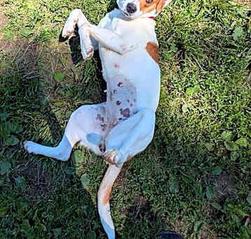 Photo of MOLLY