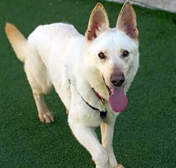 Photo of Ghost