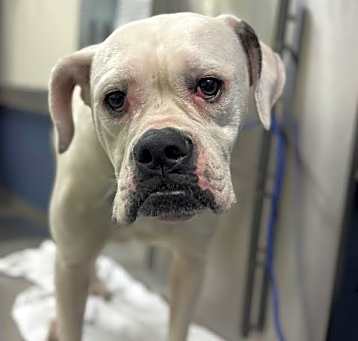 Photo of SUNDAE