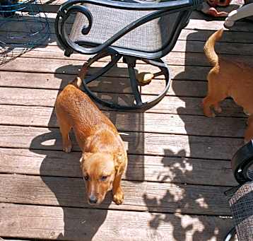 Photo of Mary Ann
