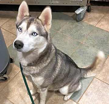 Photo of Elsa