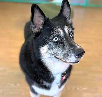 Photo of Skylar 12947