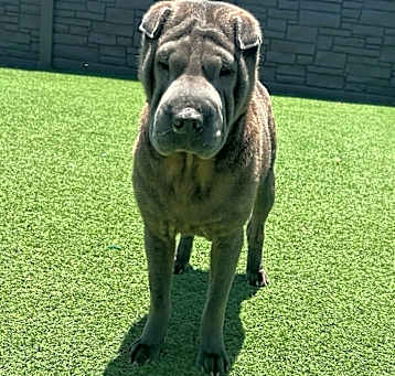 Photo of Beverly 0676
