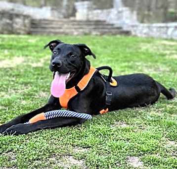 Photo of Ajax