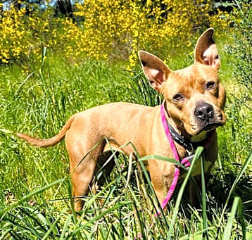Photo of Jessie