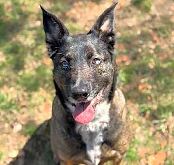 Photo of MacY