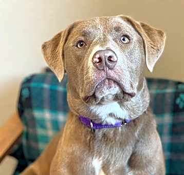 Photo of Buckley