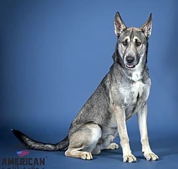 Photo of ZEUS