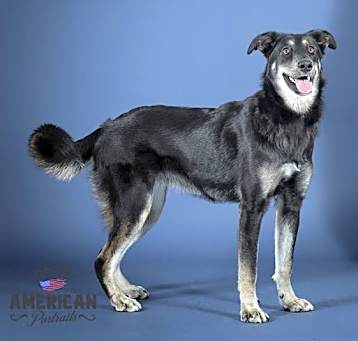 Photo of BAILY