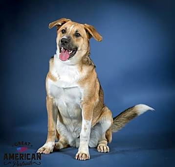 Photo of BISCUIT