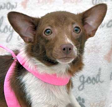 Photo of PENNY