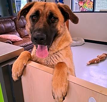 Photo of Athena 
